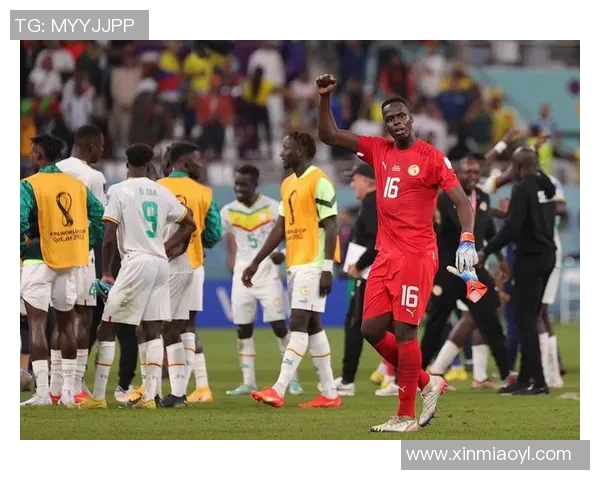 塞内加尔足球队的超级球星们如何在国际赛场上书写传奇故事